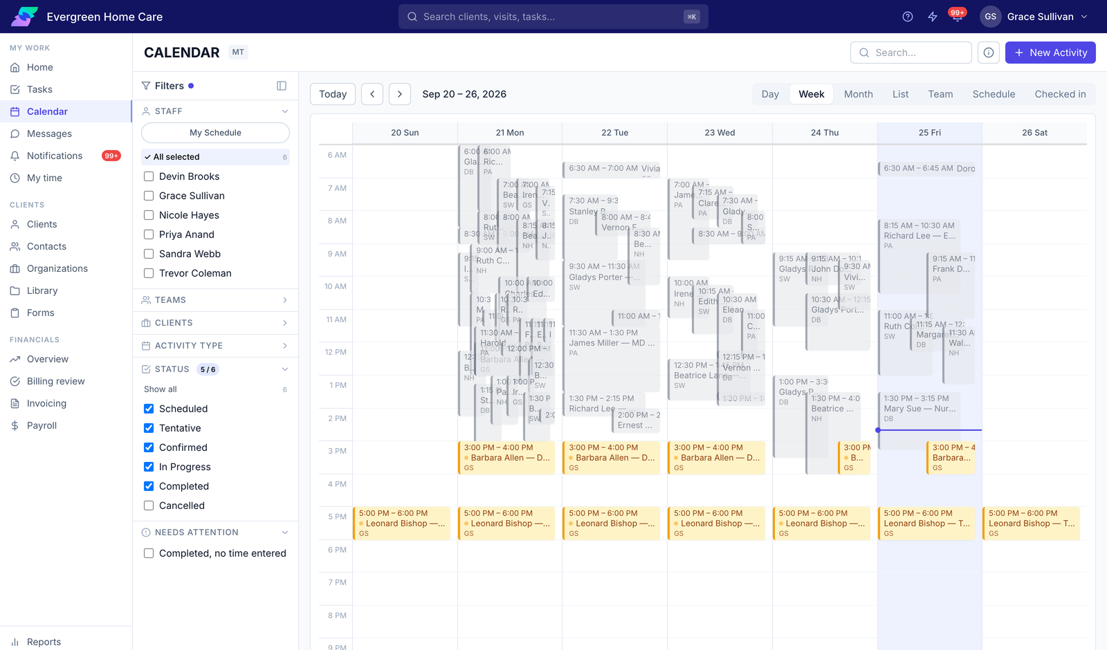 The Care Flow week calendar with staff filters, status filters, and a Needs Attention filter for completed visits with no time entered